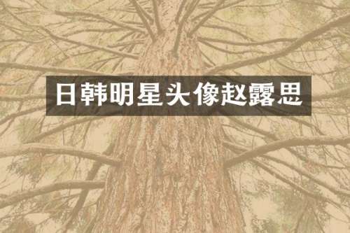 日韩明星头像赵思
