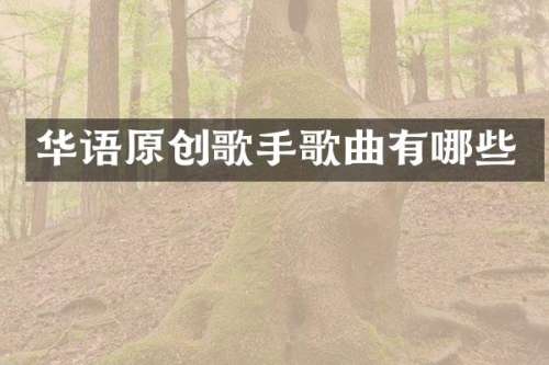 华语原创歌手歌曲有哪些