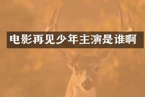 电影再见少年主演是谁啊