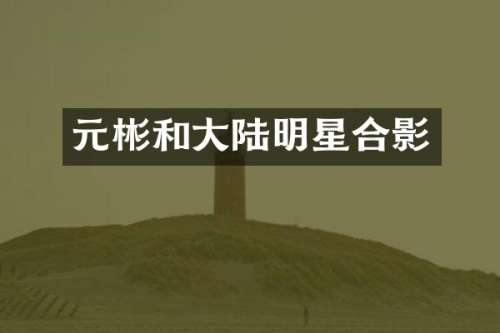 元彬和大陆明星合影