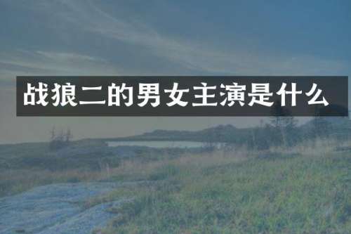 战狼二的男女主演是什么