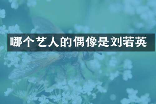 哪个艺人的偶像是刘若英