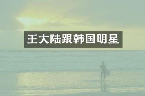 王大陆跟韩国明星