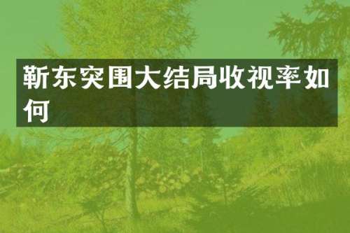 突围大结局收视率如何