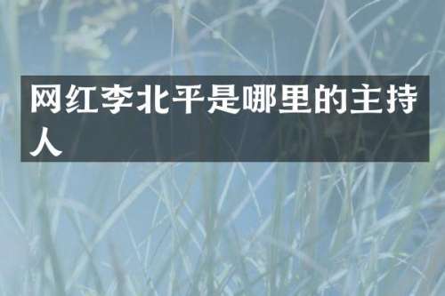 网红李北平是哪里的主持人