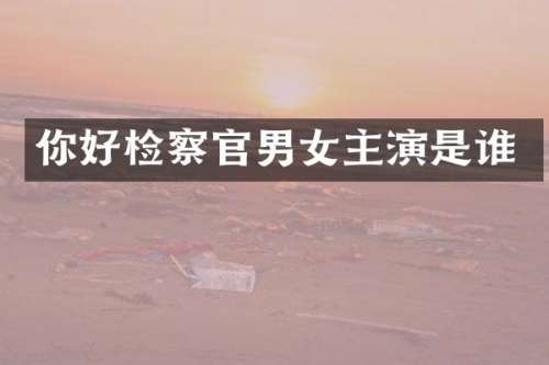你好检察官男女主演是谁