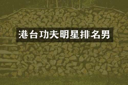 港台功夫明星排名男