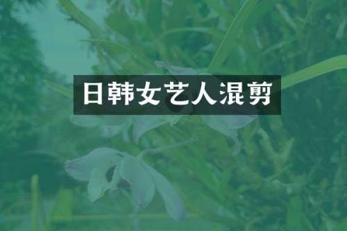 日韩女艺人混剪