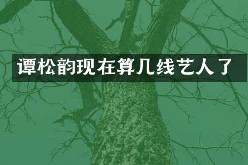 谭松韵现在算几线艺人了