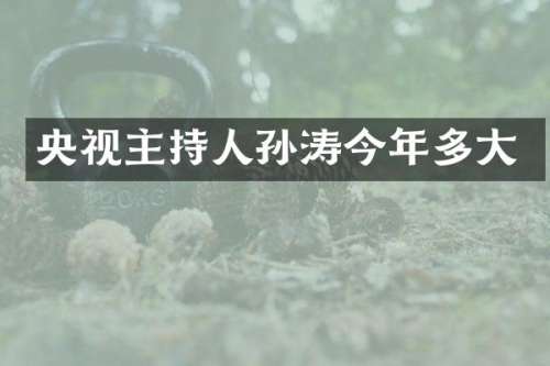 央视主持人孙涛今年多大