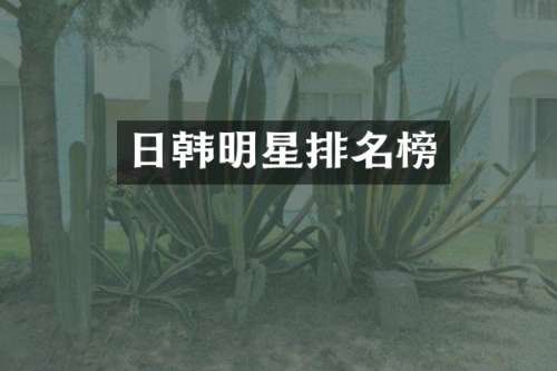 日韩明星排名榜