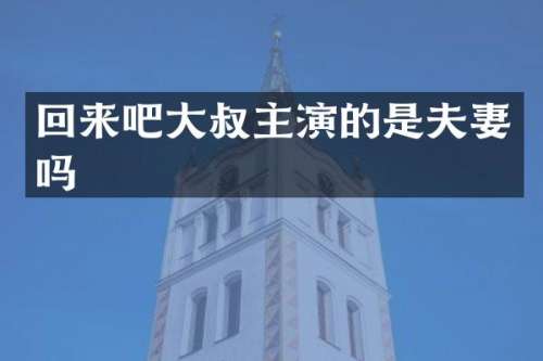 回来吧大叔主演的是夫妻吗