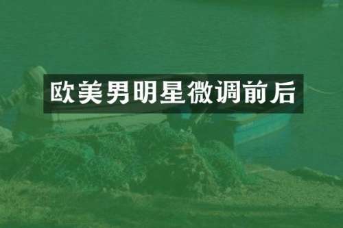 欧美男明星微调前后