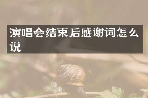 演唱会结束后感谢词怎么说