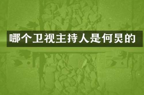哪个卫视主持人是何炅的