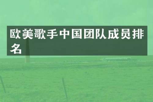 欧美歌手中国团队成员排名