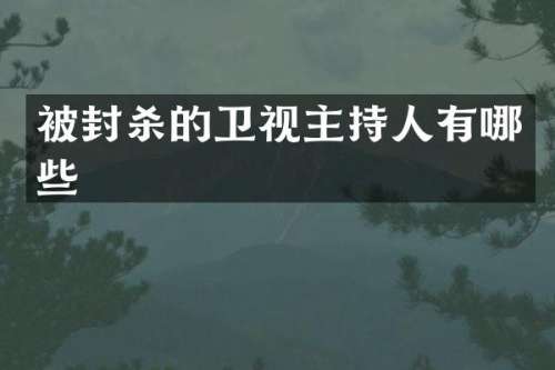 被封杀的卫视主持人有哪些