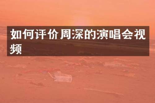 如何评价的演唱会视频