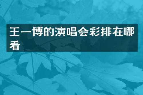 王一博的演唱会彩排在哪看