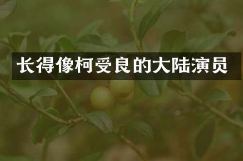 长得像柯受良的大陆演员
