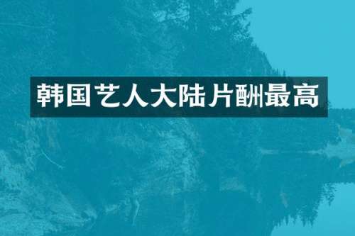 韩国艺人大陆片酬最高