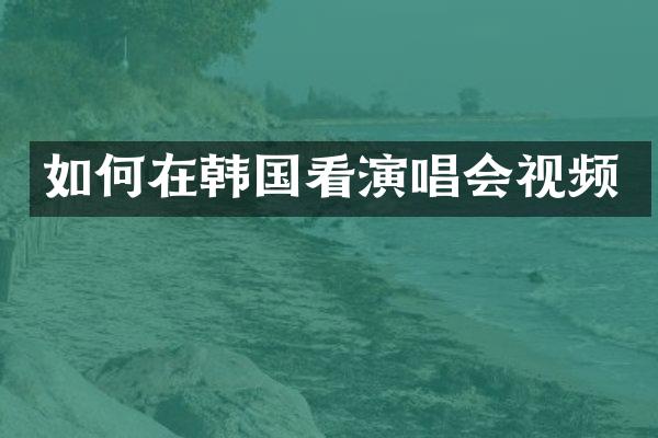 如何在韩国看演唱会视频