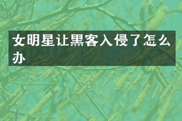 女明星让黑客入侵了怎么办