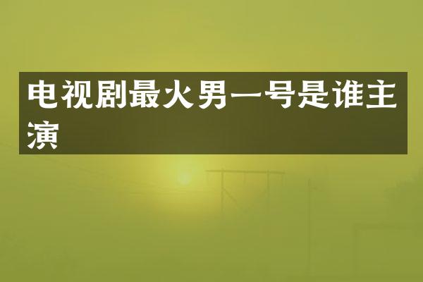 电视剧最火男一号是谁主演