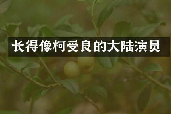 长得像柯受良的大陆演员