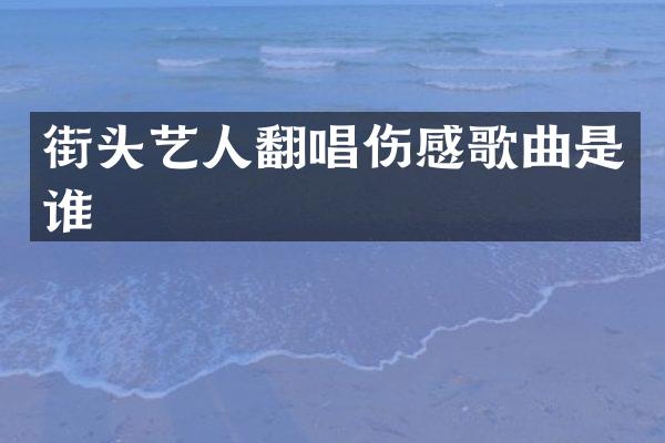 街头艺人翻唱伤感歌曲是谁