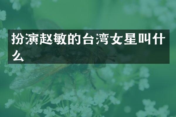 扮演赵敏的台湾女星叫什么