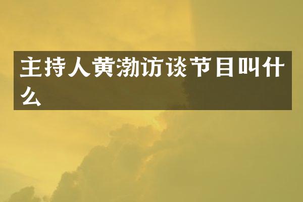 主持人黄渤访谈节目叫什么