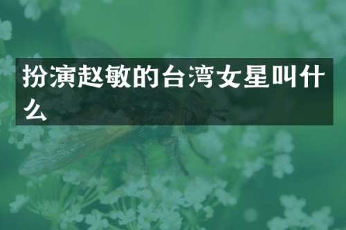 扮演赵敏的台湾女星叫什么