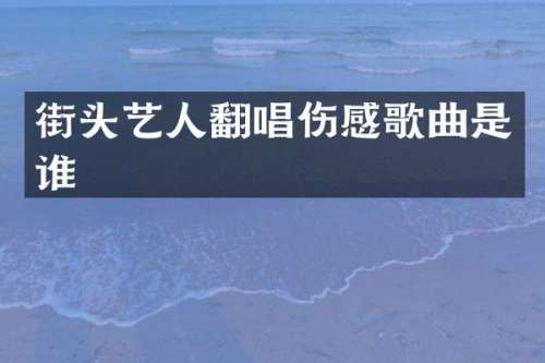 街头艺人翻唱伤感歌曲是谁