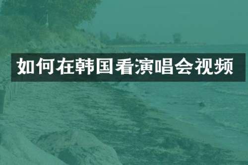 如何在韩国看演唱会视频