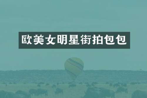 欧明星街拍包包
