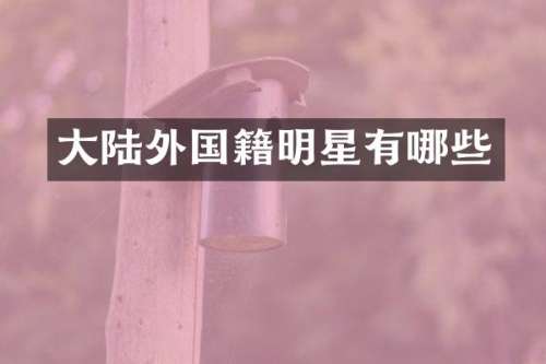 大陆外国籍明星有哪些
