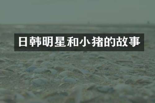 日韩明星和小猪的故事