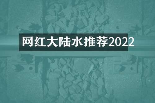 网红大陆水推荐2022