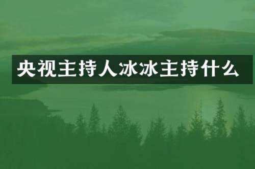 央视主持人冰冰主持什么
