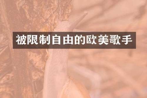 被限制自由的欧美歌手