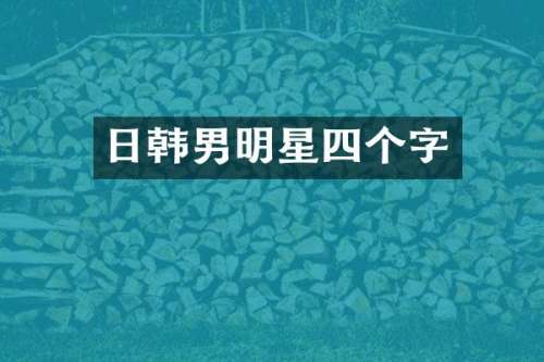 日韩男明星四个字