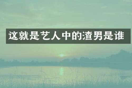 这就是艺人中的渣男是谁