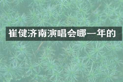 崔健济南演唱会哪一年的
