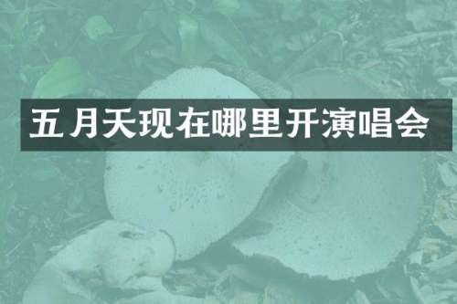 五月天现在哪里开演唱会