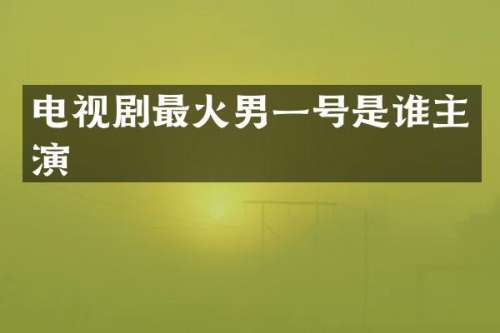 电视剧最火男一号是谁主演
