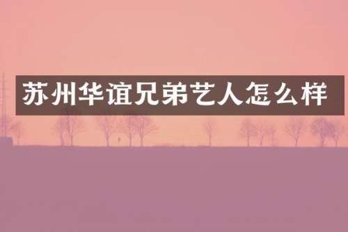 苏州华谊兄弟艺人怎么样