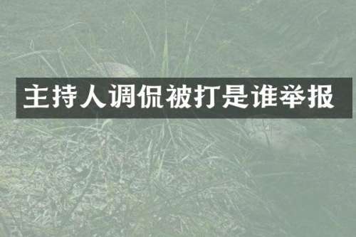 主持人调侃被打是谁举报