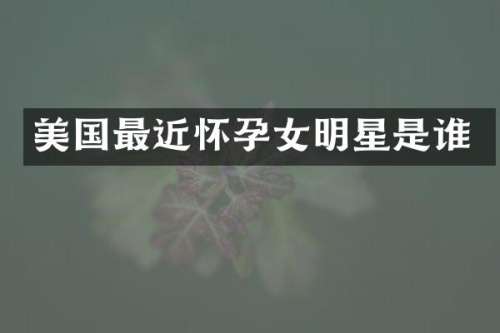 美国最近怀孕女明星是谁