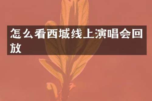 怎么看西城线上演唱会回放